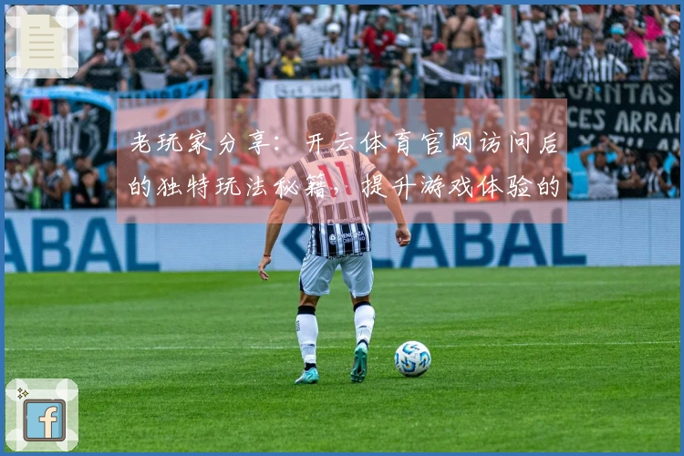 老玩家分享：开云体育官网访问后的独特玩法秘籍，提升游戏体验的绝佳技巧！